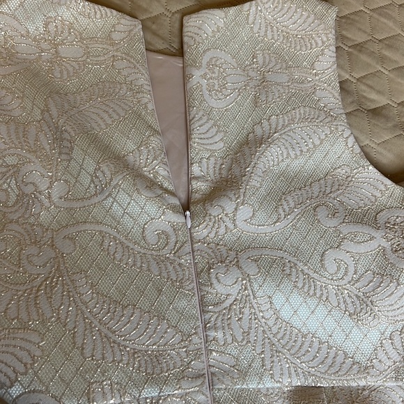 Belle Badgley Mischka Cream Gold Sleeveless Embroidered Lace Style Dress… - Picture 14 of 15
